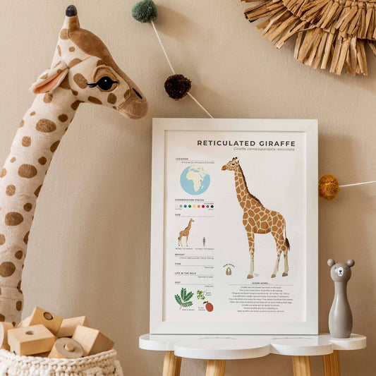 Vibrant digital illustration of a giraffe with scientific facts including actual height and heart size in a modern figurative art style for collectors of educational wildlife prints by normablok