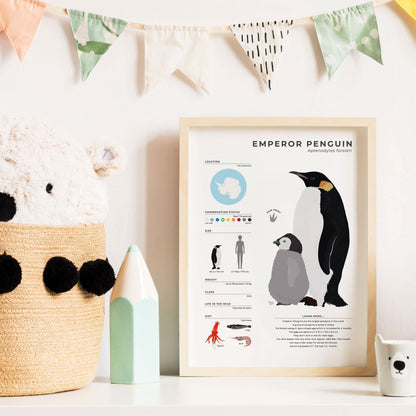 Antarctic wildlife wall art with scientific data about Aptenodytes forsteri featuring detailed Emperor Penguin illustrations and natural history facts for biology lovers and students by normablok