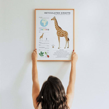 Unique illustrated giraffe facts poster for homeschooling or classroom decor with modern digital art style and interesting trivia about giraffe neck vertebrae and behavior by normablok