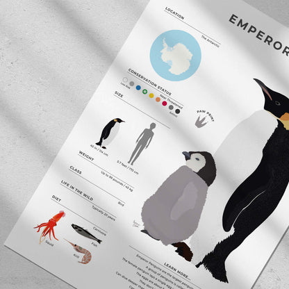 Educational penguin nursery art or kids room decoration featuring height comparison chart and diet information in a modern colorful digital illustration style with white border by normablok