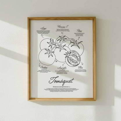 Monochrome vintage botanical poster of a tomato for modern kitchen decor featuring facts about potassium beta carotenes and folic acid by Normablok.
