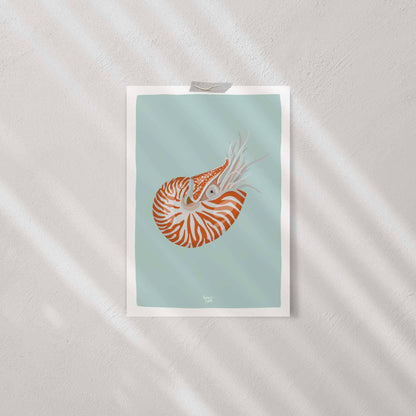 Nautilus art print attached to a plain white wall using clear tape, showcasing a minimalist and casual approach to hanging wall art.