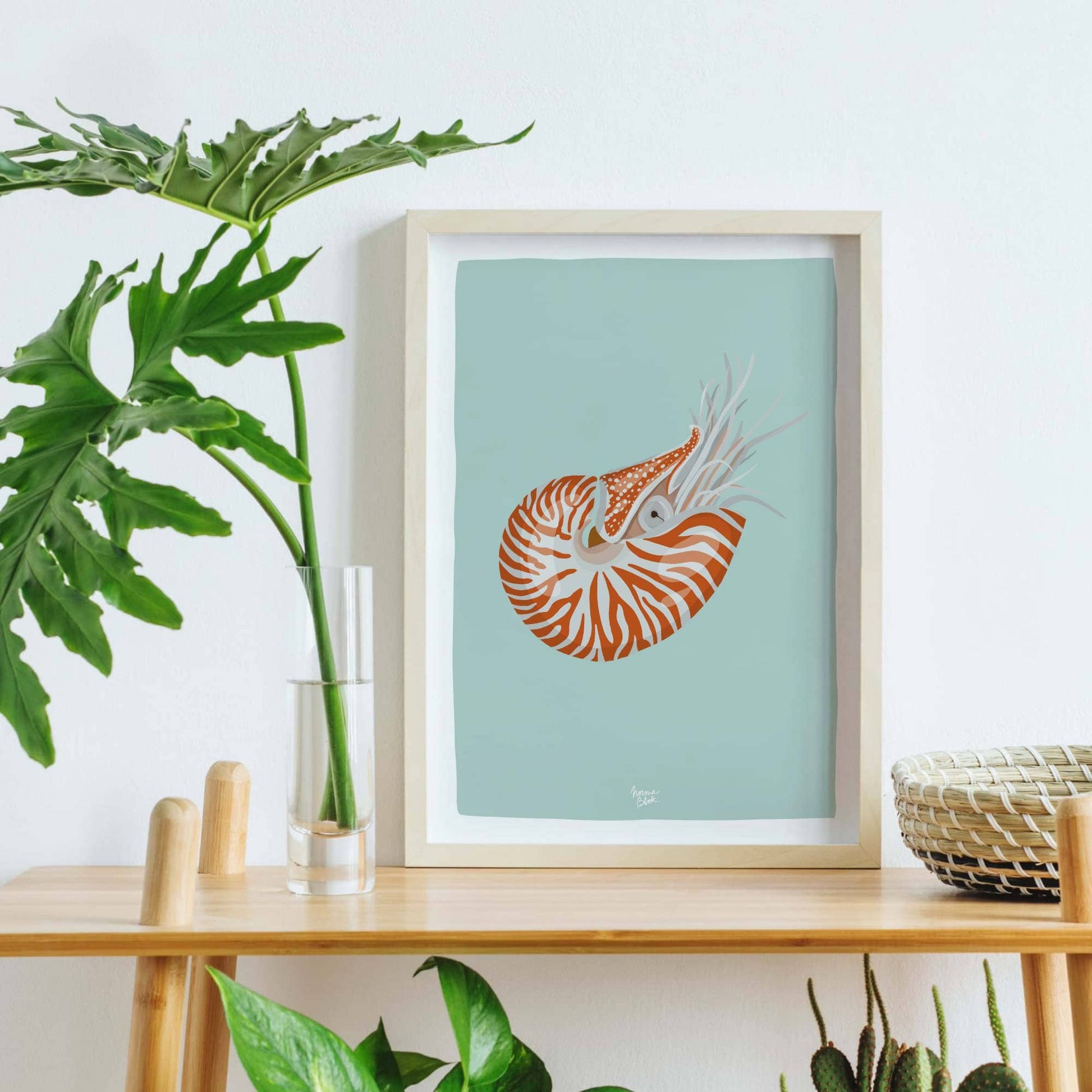 Decoración de pared colores frescos de verano para casa de la playa una ilustración de una concha marina de nautilus by normablok