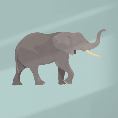 High-resolution flat digital graphic of the African elephant art print. Features a detailed, figurative elephant centered on a solid soft turquoise background, surrounded by a clean white border. This background color can be customized upon request to match your nursery decor.