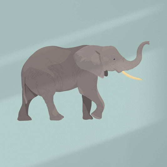 High-resolution flat digital graphic of the African elephant art print. Features a detailed, figurative elephant centered on a solid soft turquoise background, surrounded by a clean white border. This background color can be customized upon request to match your nursery decor.