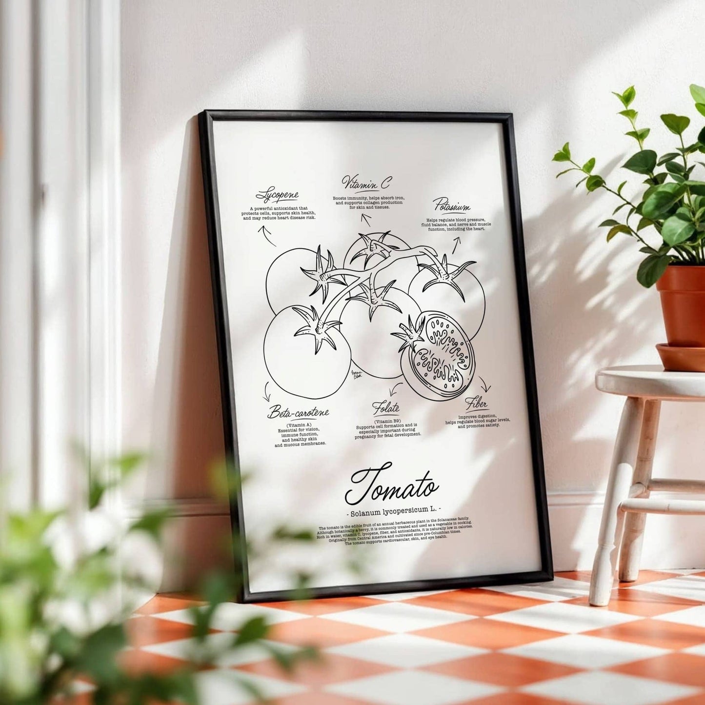 Hand drawn tomato botanical art with a vintage aesthetic focusing on the detailed skin texture and scientific classification for health conscious home decor by Normablok.