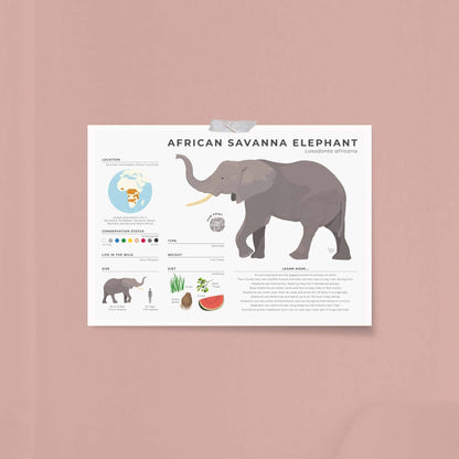 Educational elephant nursery art for kids room decoration showing trunk muscle facts and daily water intake in a modern digital style by normablok