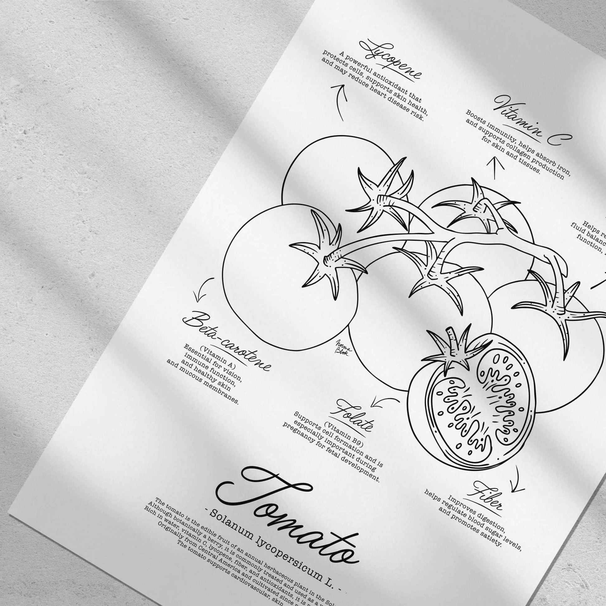 Close up of a minimalist black and white botanical print showing scientific nutritional data for tomatoes including lycopene and vitamin C in a classic font by Normablok.