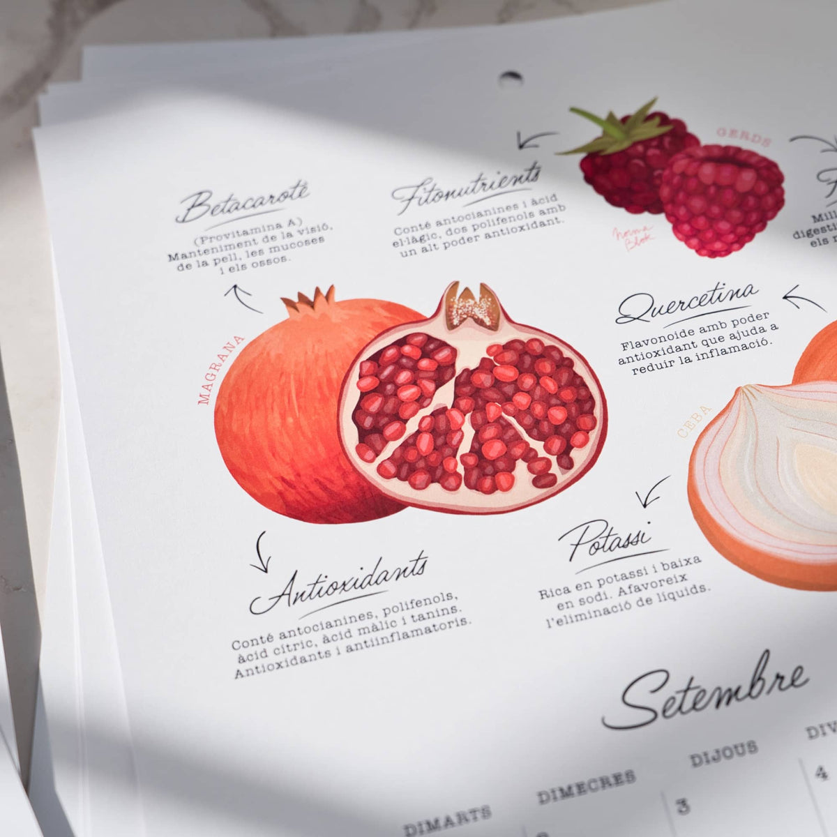Calendario 2027 Frutas y Verduras de temporada