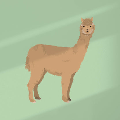 A detailed digital art print of a light brown alpaca featuring realistic, textured fur against a vibrant green background. This wall art captures the soft, fluffy nature of the animal with meticulous attention to light and shadow.