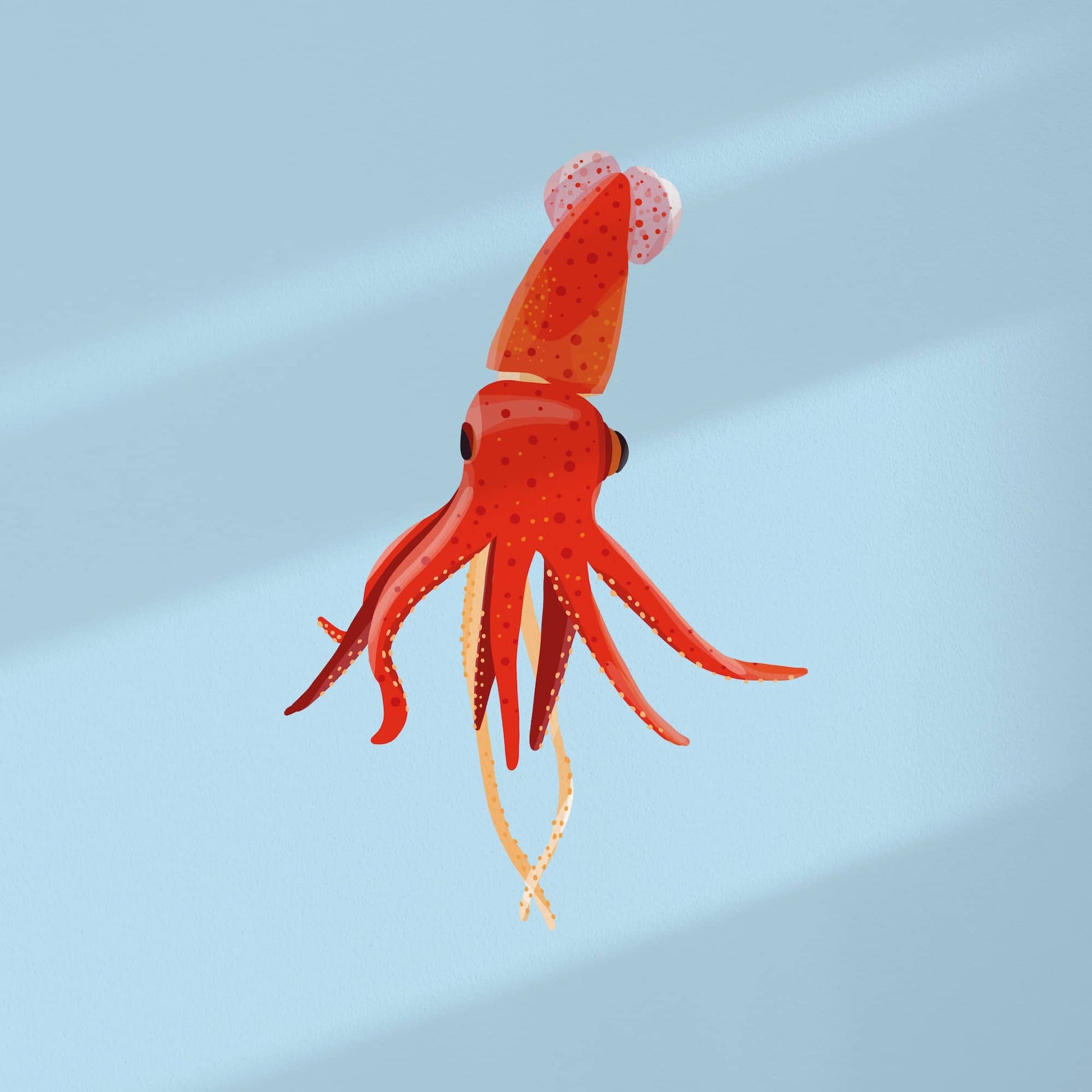lámina ilustrada calamar en tonos rojos y naranjas y en un fondo azul claro para decorar una habitacion