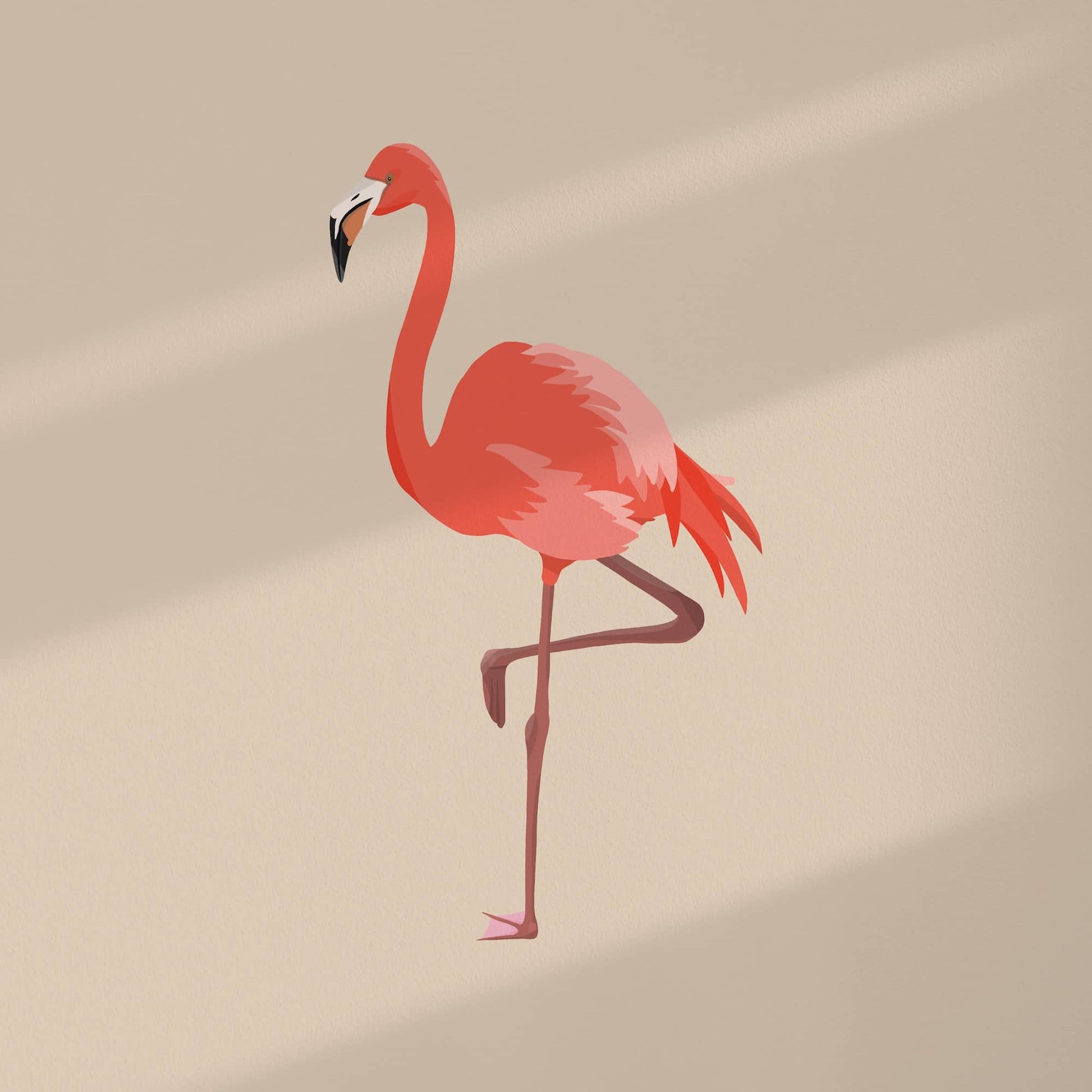Diseño gráfico digital del flamenco centrado con margen blanco. Color de fondo personalizable bajo pedido.