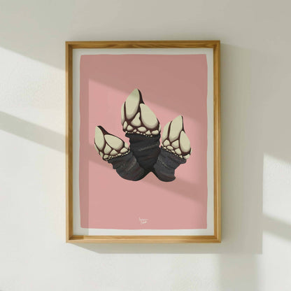 Goose barnacle print in a light wood frame, hanging on a clean white wall. The minimalist decor emphasizes the pink background and the natural texture of the frame.