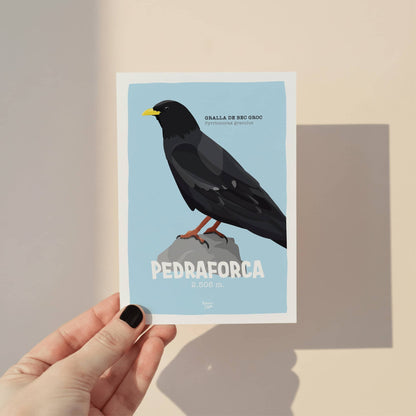 Una mà sostenint la postal A6 de la xoca de bec groc i el Pedraforca sobre un fons neutre de Normablok.