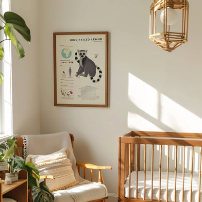 Modern lemur illustrated guide featuring scientific data on tail length and sunbathing habits with a clean white border for minimalist home office or study room wall decor by normablok