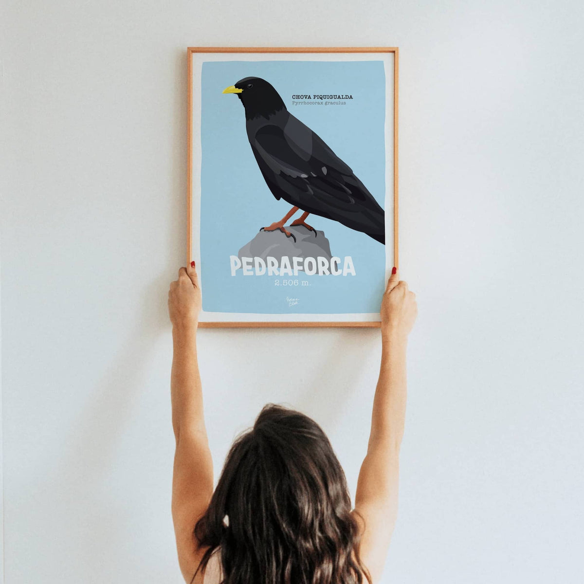Fotografía de estilo de vida de una mujer colgando la lámina en formato A3 con el diseño de la chova piquigualda en el Pedraforca de Normablok.