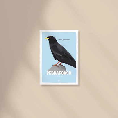 Portada del mini print de la chova piquigualda en el Pedraforca centrada sobre un fondo de tono beige de Normablok.