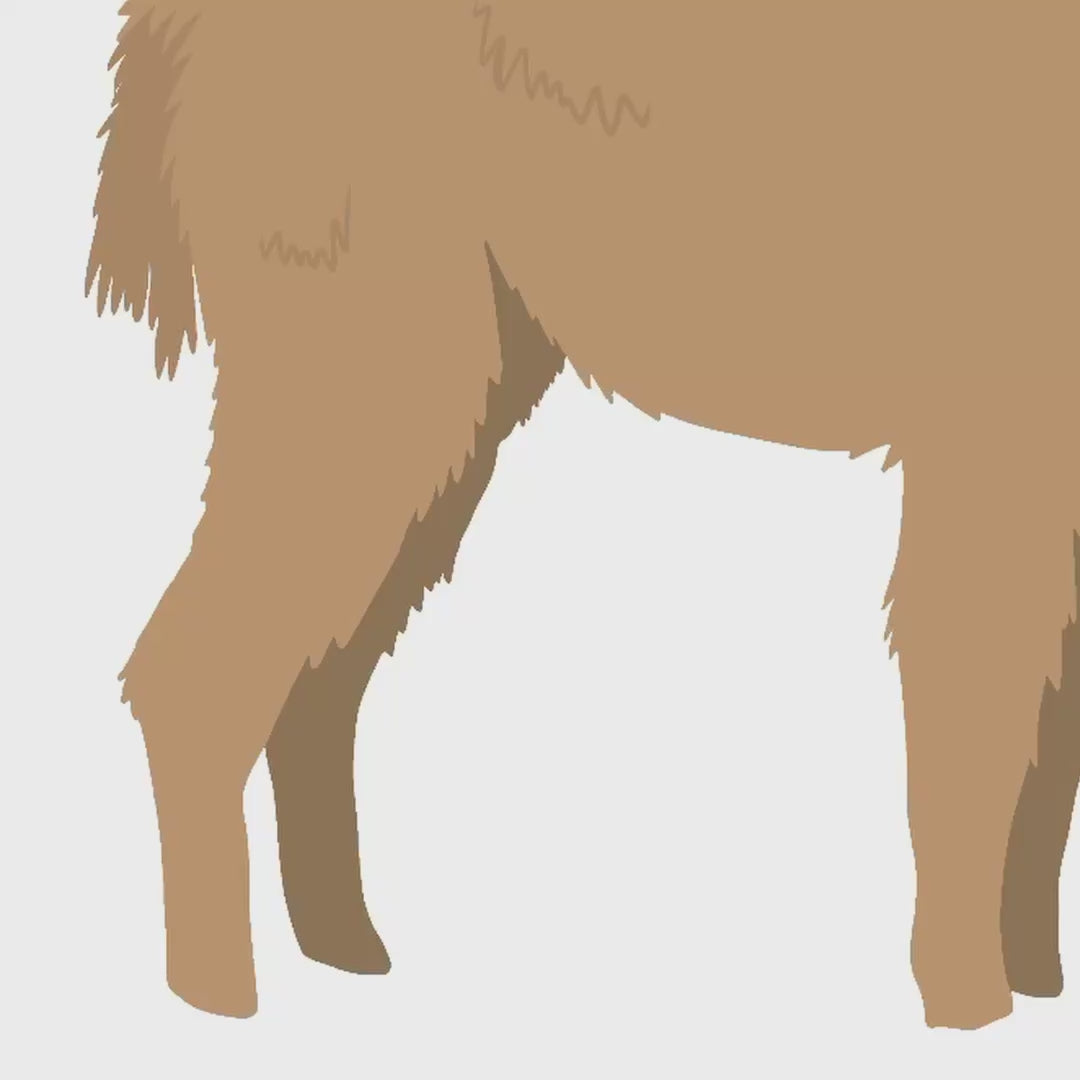 A time-lapse video showing my process for drawing the alpaca in Procreate. You can watch how I tackle the tricky task of layering textured fur, adding highlights, and defining the cowlicks that give this piece its realistic, hand-drawn character.