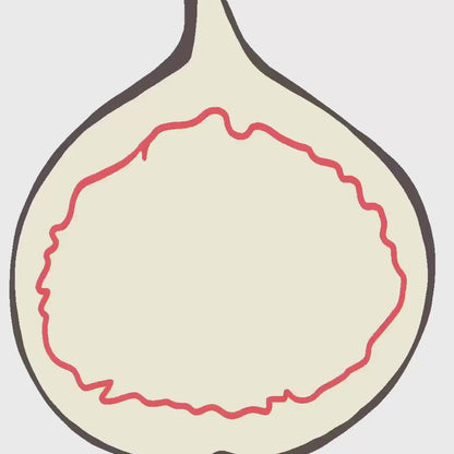 Don't give a fig Art Print