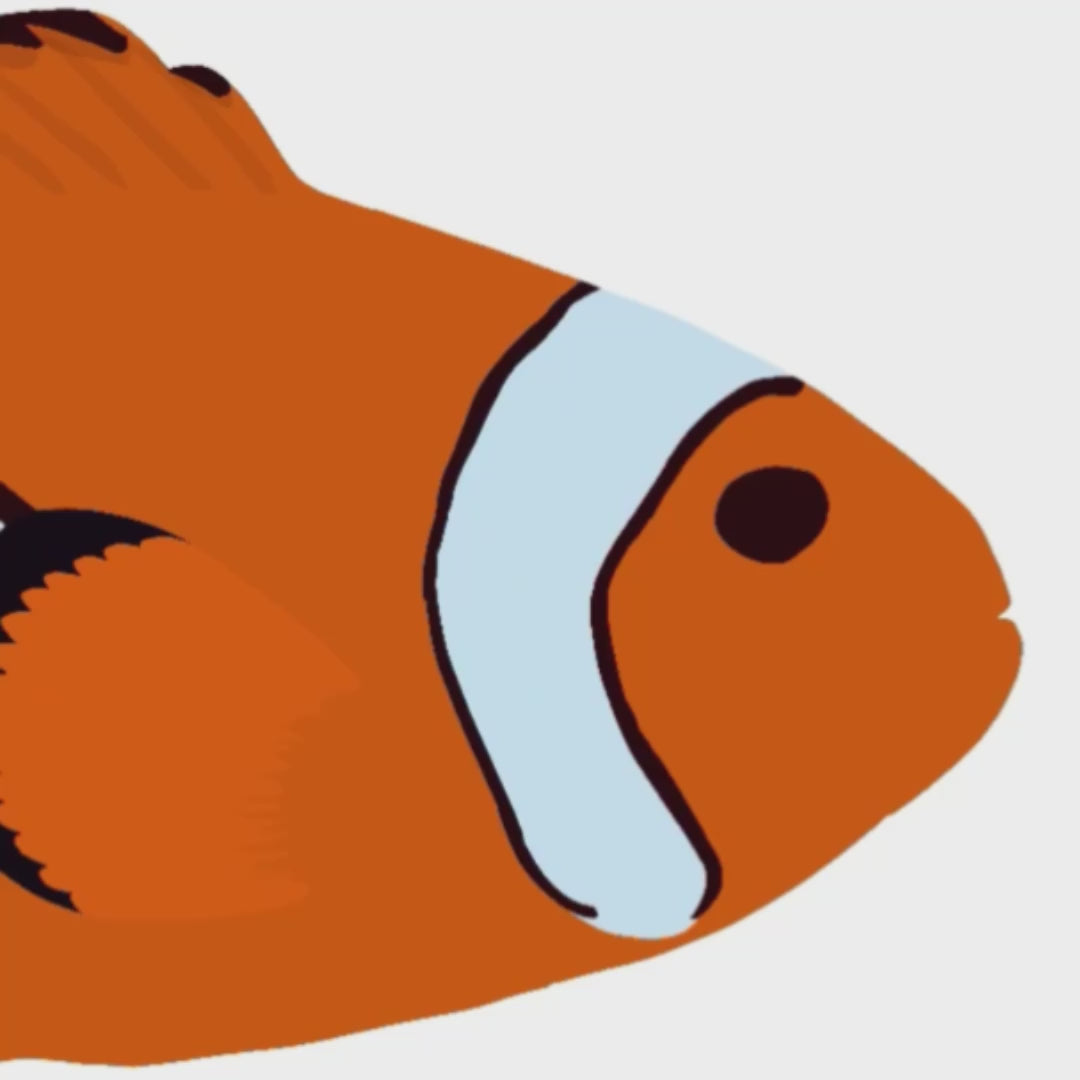 Vídeo a cámara rápida que muestra el proceso de dibujo digital del pez payaso en Procreate, desde el boceto hasta el color final.