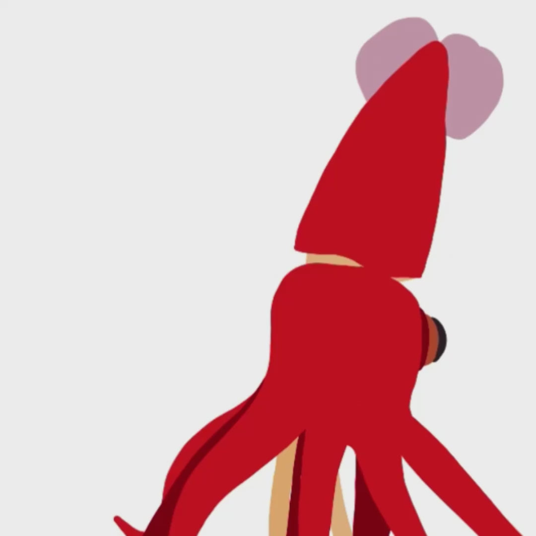 A time-lapse video demonstration showing the digital illustration process of the squid in Procreate, from initial sketch to final details, emphasizing the artistic technique.