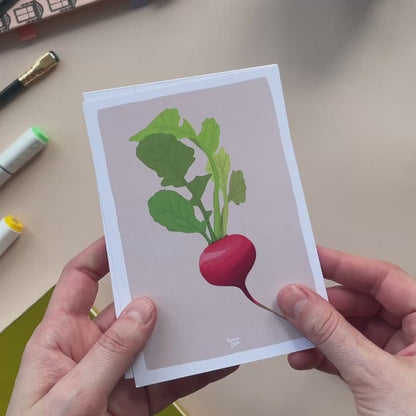 Pack 8 Mini Láminas Verduras - Zanahoria, Rábano, Nabo, Guisante, Remolacha, Alcachofa, Cebolla, Apio