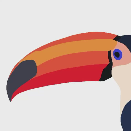A time-lapse video showing the digital illustration process of the toucan in Procreate. The clip shows the artist's technique from the initial sketch to the final vivid colors, offering a transparent look into the creative effort behind the artwork.