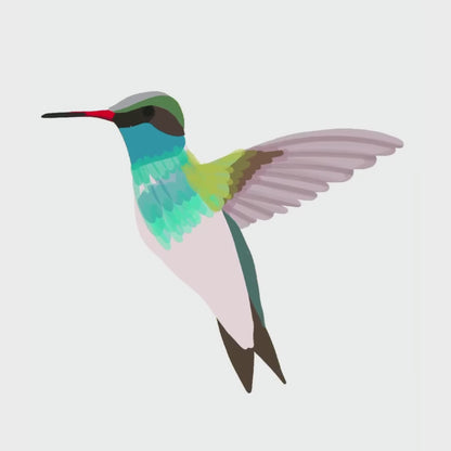 Hummingbird Turquoise Art Print 