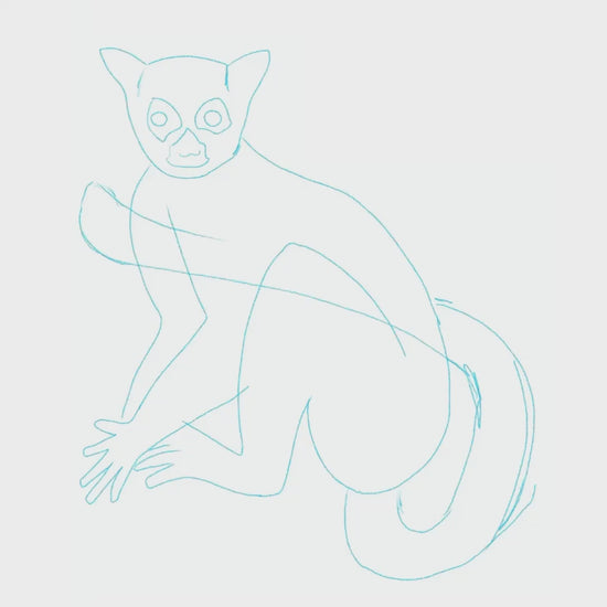 A short process video showcasing the creation of the ring-tailed lemur in Procreate. You can watch the digital drawing technique, from the initial sketching of those intense, wide-awake eyes to adding the final vibrant yellow tones for a lively finish.