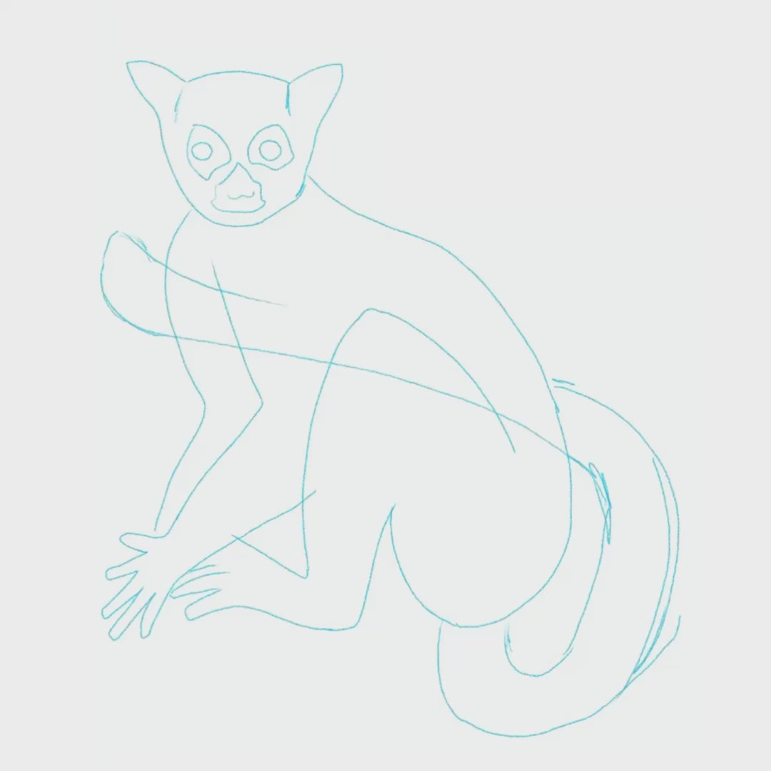 A short process video showcasing the creation of the ring-tailed lemur in Procreate. You can watch the digital drawing technique, from the initial sketching of those intense, wide-awake eyes to adding the final vibrant yellow tones for a lively finish.