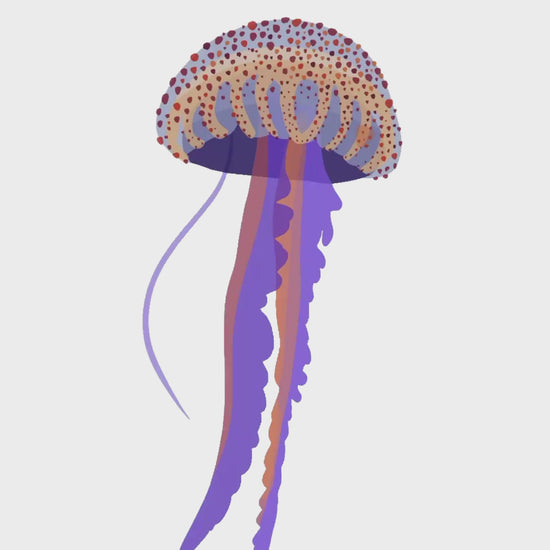 A time-lapse video showing the digital illustration process of the jellyfish in Procreate. You can watch how I build the layers of color and transparency to bring the marine creature to life, from the first sketch to the final result.