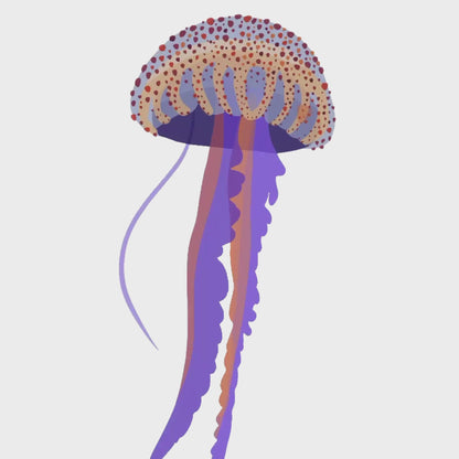 A time-lapse video showing the digital illustration process of the jellyfish in Procreate. You can watch how I build the layers of color and transparency to bring the marine creature to life, from the first sketch to the final result.