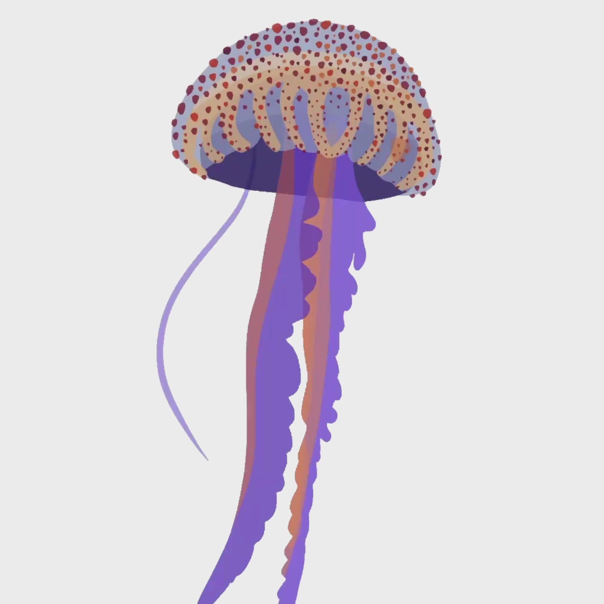 A time-lapse video showing the digital illustration process of the jellyfish in Procreate. You can watch how I build the layers of color and transparency to bring the marine creature to life, from the first sketch to the final result.