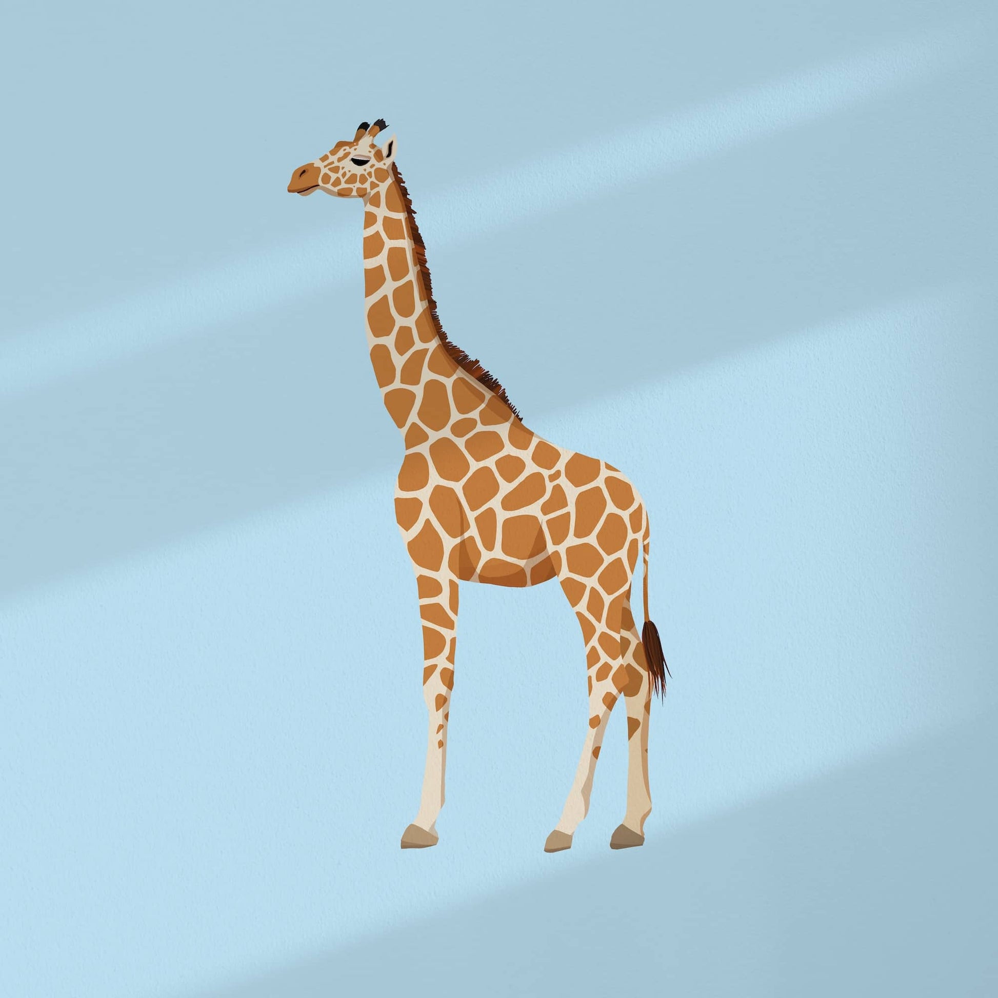 Close-up detail of the reticulated giraffe art print, focusing on the intricate and geometric net-like coat pattern. The warm earthy tones of the giraffe contrast beautifully against the fresh, crisp light blue background, showcasing my detailed digital artistic style.