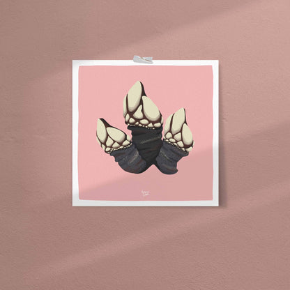 The goose barnacle illustration in a balanced square format with a clean white border. A modern and minimalist look perfect for gallery walls.