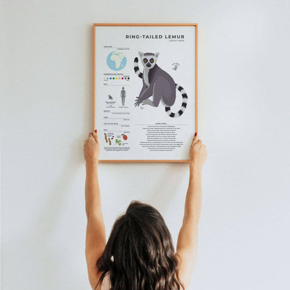 Unique illustrated lemur facts poster for homeschooling or classroom decor with modern digital art style and interesting trivia about female led social structures by normablok