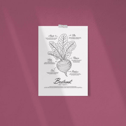 A vintage-style black and white botanical manual illustration of a whole beetroot with its root and leafy green top on a textured off-white background, featuring detailed black line art and scientific notations by Normablok.