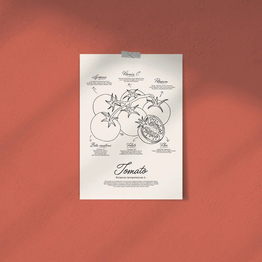 A vintage style black and white botanical manual illustration of a whole tomato on the vine with detailed leaves and fine line textures on a textured paper background by Normablok.