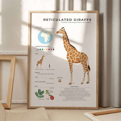 Vibrant digital illustration of a giraffe with scientific facts including actual height and heart size in a modern figurative art style for collectors of educational wildlife prints by normablok
